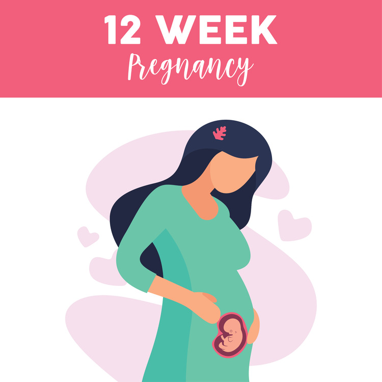 12th week of pregnancy pregnant belly
