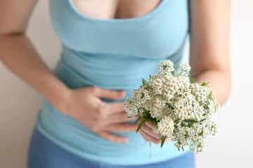 Herbs in pregnancy. Suitable + unsuitable ones: sage, honeydew, hibiscus, basil, thyme, chamomile