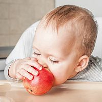 11-month-old baby with an apple