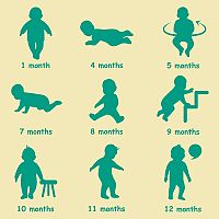 Baby development in first year 9-month-old child
