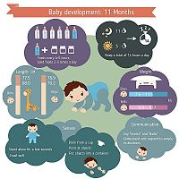 Baby development in first year 11-month-old child