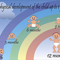 The physical development of the child up to 1 year