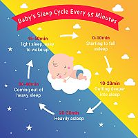 Babys sleep cycle