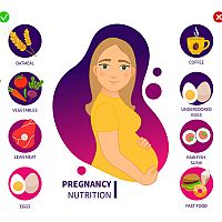 Pregnancy nutrition guide