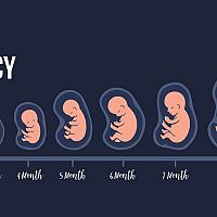 How big is my baby at 3 weeks