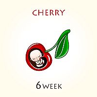 How big is my baby at 6 weeks